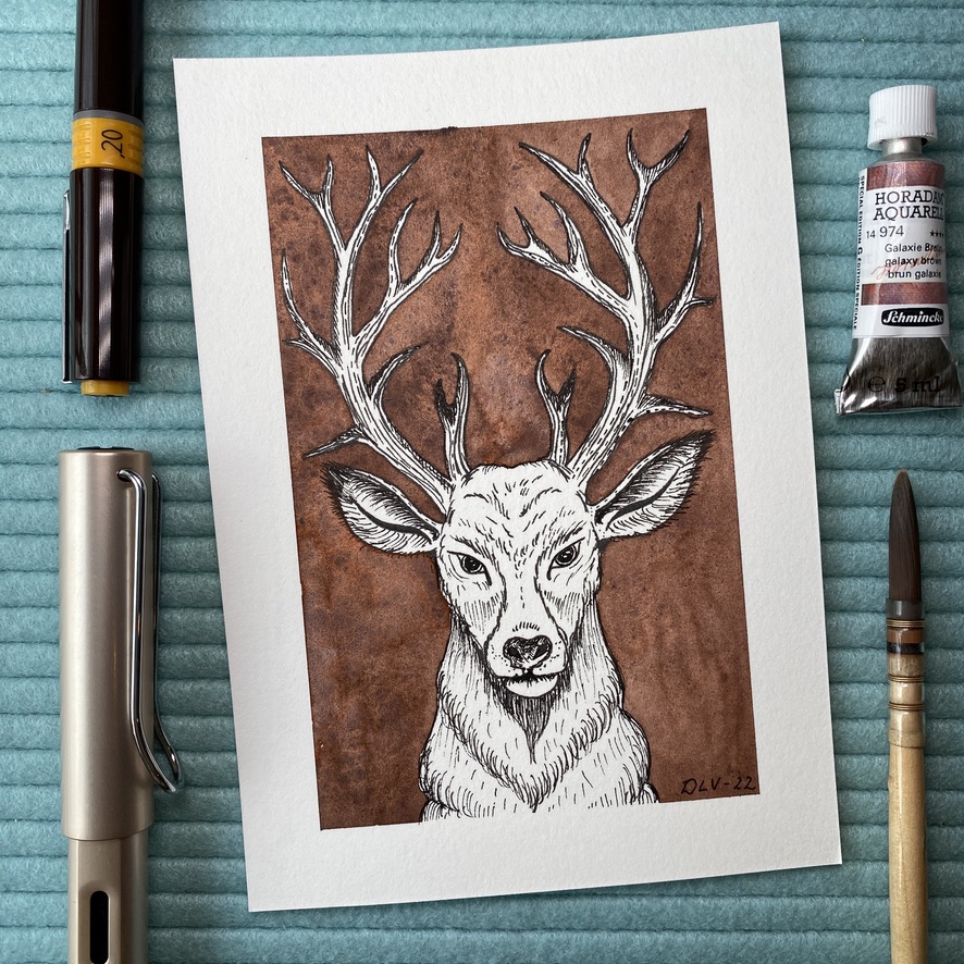 Stag